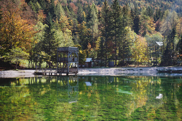 Fototapeta premium Autumn alps forest in day light reflected in calm green waters of lake.