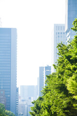 Fototapeta premium 霞ヶ関