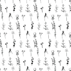Seamless pattern with black silhouettes of wild plants, herbs and flowers. Monohrome,white background,simple shape.