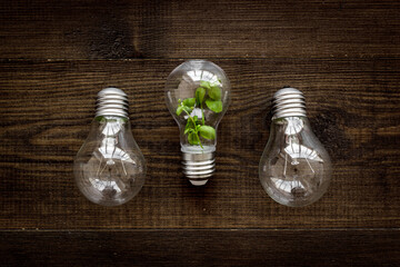 Lightbulb with plant - saving energy concept. Top view