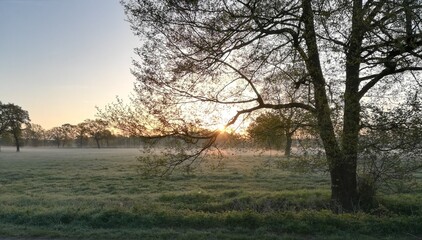 Sonnenaufgang auf dem Land