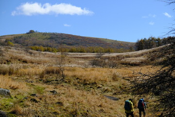 どこまでも広がる野原