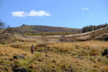 どこまでも広がる野原