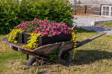 wheelbarrow with flowers