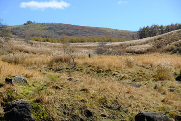 どこまでも広がる野原