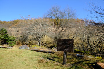 自然の中にあった看板