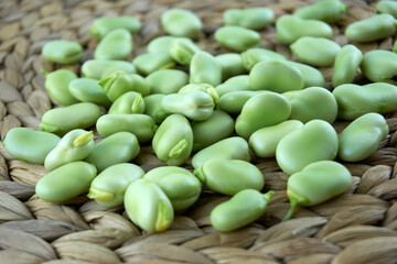 Fresh and organic raw fava, broad beans