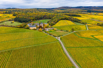 Bird's eye view of the autumnal colored vineyards near Oestrich-Winkel / Germany in the Rheingau and Vollrads Castle