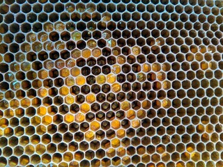 background honeycomb