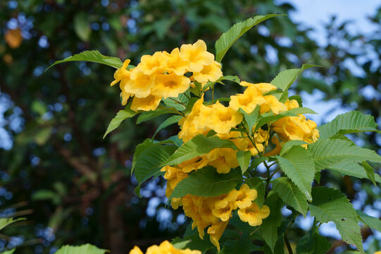 เลือกดูภาพถ่ายสต็อก เวกเตอร์ และวิดีโอ2,975 Adobe Stock