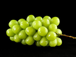 シャインマスカット　黒背景