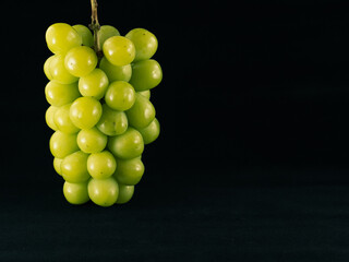 シャインマスカット　黒背景