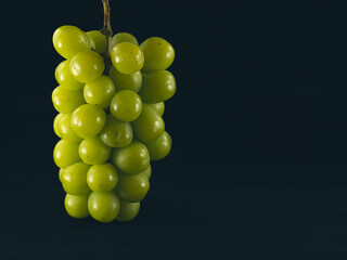 シャインマスカット　黒背景