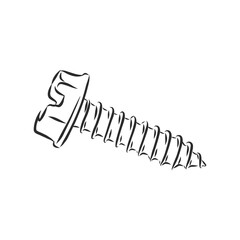 screws, nails isolated on a white background. Vector illustration, metal screw vector sketch illustration