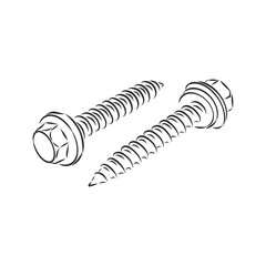 screws, nails isolated on a white background. Vector illustration, metal screw vector sketch illustration