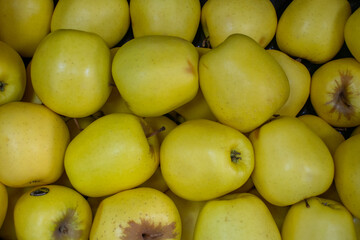 Manzanas golden amarillas