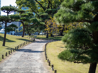 秋晴れの青空広がる東京の浜離宮庭園の風景　10月