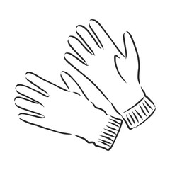 Sketch of winter gloves, vector illustration isoltaed on white background, pair of gloves, gloves, vector sketch illustration