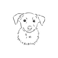 Silhouette simple head dog. Vector illustration. portrait of a dog, vector sketch illustration
