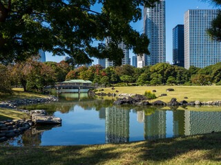 秋晴れの青空広がる東京の浜離宮庭園の風景　10月