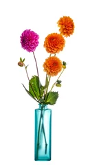 Fototapete Dahlie Hausangebaute Dahlienblumen in der Vase. Nicht perfekt. Isoliert auf weißem Hintergrund.