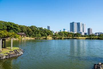 秋晴れの青空広がる東京の浜離宮庭園の風景　10月
