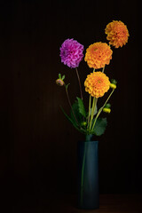 Home grown dahlia flowers in vase. Not perfect. Dark still life with copyspace.