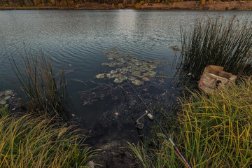 polluted lake in Penza the Russian Federation of penetration of nature