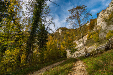 Obraz premium Fantastic autumn hike in the beautiful Danube valley near the Beuron monastery