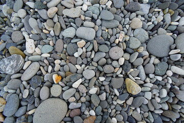 A round stone carved by water. Stone beach.