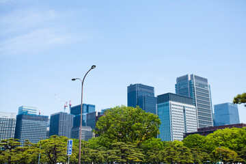 皇居外苑の新緑とビル群