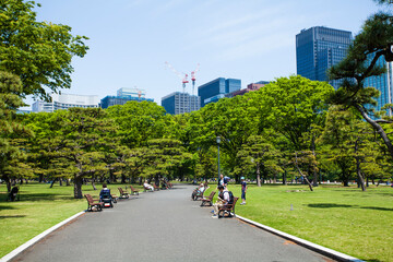 皇居外苑の新緑とビル群
