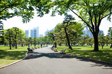皇居外苑の新緑とビル群