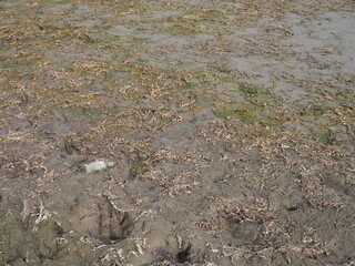 A dramatic landscape of a dry lake. Dry bottom of a dried-up lake in large cracks. Conceptually: Environmental Related Issues of Global Warming
