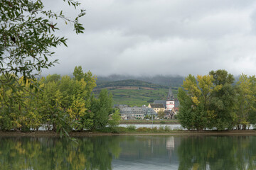 Fototapeta premium Rheinaue bei Frei-Weinheim, Blick nach Östrich-Winkel