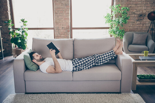 Profile photo of domestic homey handsome guy stay home quarantine reader book worm good mood lying comfy cozy sofa modern interior living room apartments indoors