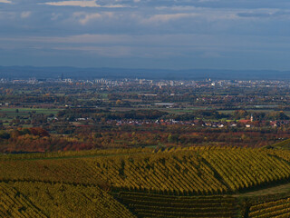 Distant view of city Strasbourg, France including popular cathedral and Vosges mountains in background over the border from foothills of Black Forest, Germany with colorful vineyards in foreground.