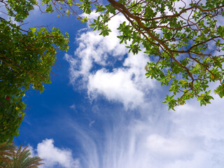 ハワイ、オアフ島　ビーチに寝ころび空を眺めた