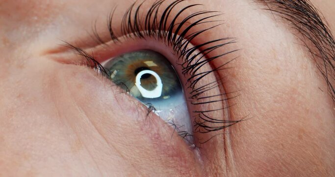 Closeup of Young and Beautiful Female Eye