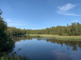 Fototapeta premium Der Moorweiher (Stausee) im Roten Moor in der Rhön 