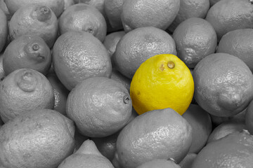 Limones
