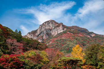 가을에 물든 산 