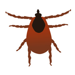 Brown tick insect icon isolated on white background,  vector flat design eps 10