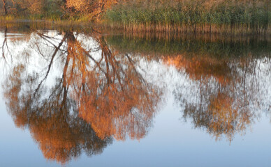 Reflection of an autumn landscape in a pond of trees with colorful foliage, green grass and sky with clouds