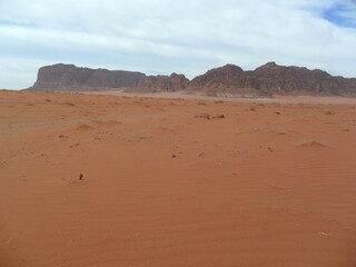 Fototapeta na wymiar Hiking in the red desert sandcliffs and dunes of Wadi Rum in Jordan, Middle East