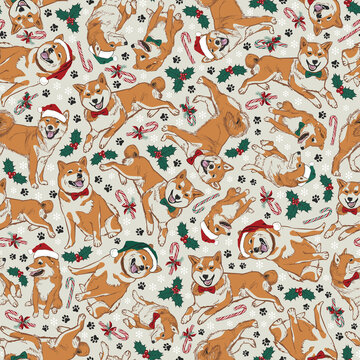 Vector beige shiba inu Christmas dogs multidirection seamless pattern with santa hats, holly and candy canes. Perfect for fabric, scrapbooking and wallpaper projects.