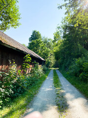 Forest road in sweden in sunny wheather in summer or spring. Next to red, old barn. Off the beaten path, off the beaten track. Road less travelled.