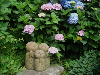 アジサイとお地蔵さん
