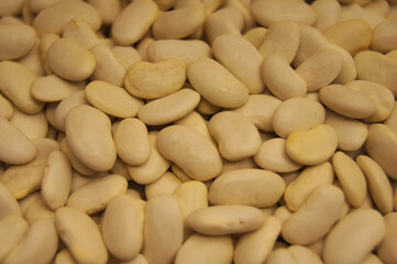 white beans background