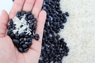 Girl's hand holding grains of white rice and black beans. Raw rice and beans background.